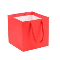 Red_Paper_Bag_Cubic7
