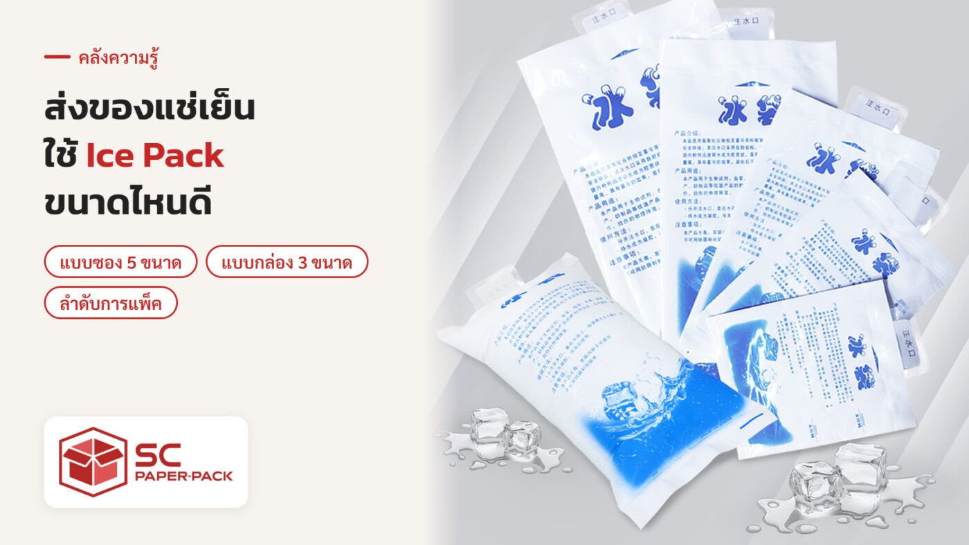 Ice Pack เจลเก็บความเย็นแบบซองและแบบกล่อง สำหรับส่งของสดของแช่เย็น