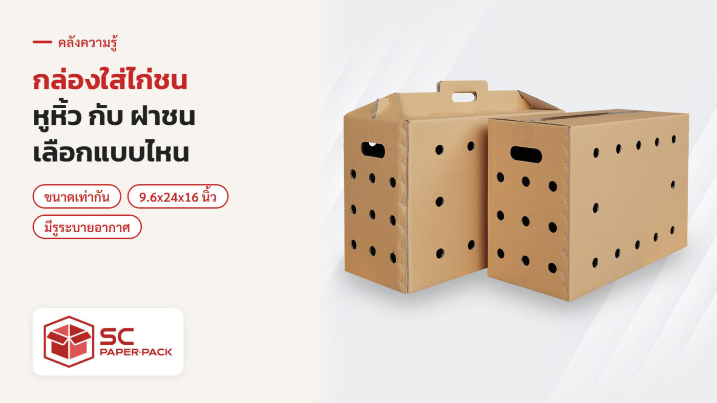 กล่องใส่ไก่ชน แบบหูหิ้วกับแบบฝาชน ขนาด 24.4x60.96x40.64 ซม. เจาะรูระบายอากาศ จาก SC Paper-Pack
